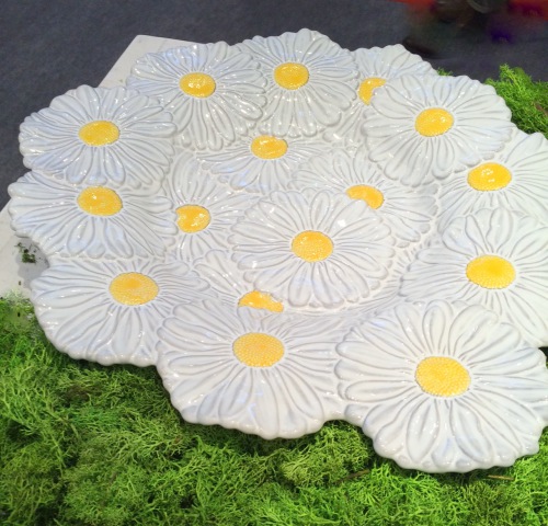  Platte Daisy