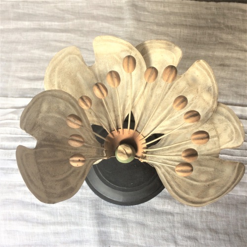 Flora Botanica No5