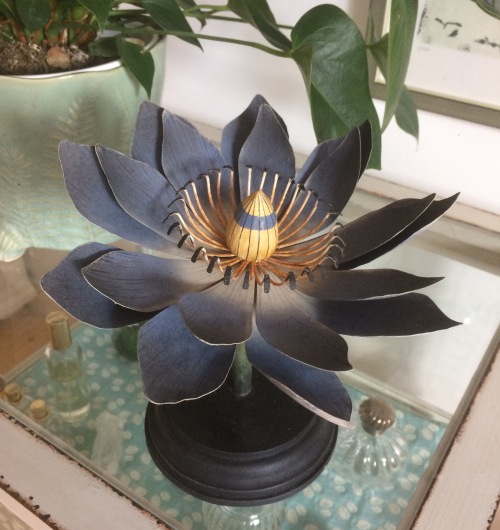 Flora Botanica No4