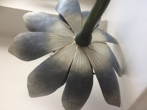  Flora Botanica No4