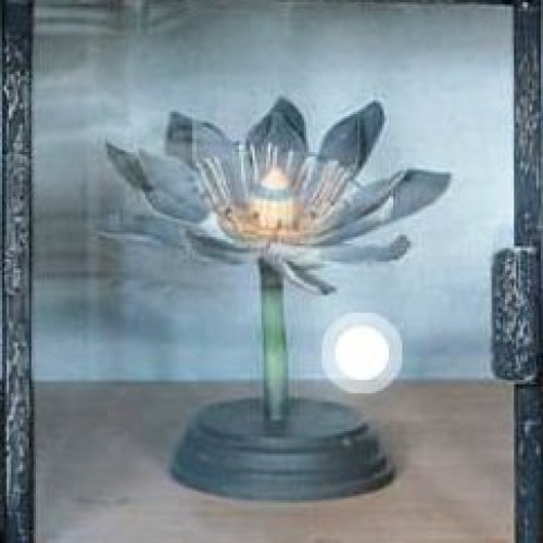  Flora Botanica No4