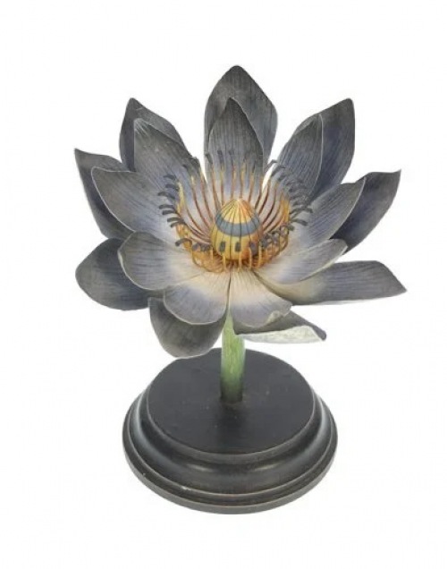  Flora Botanica No4