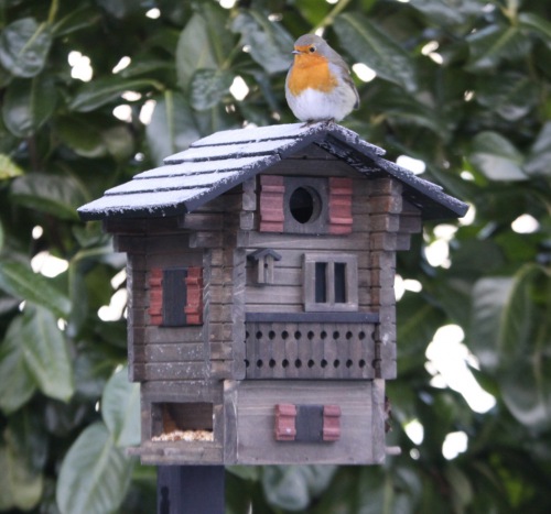  Nistkasten und Futterhaus Alpenhaus