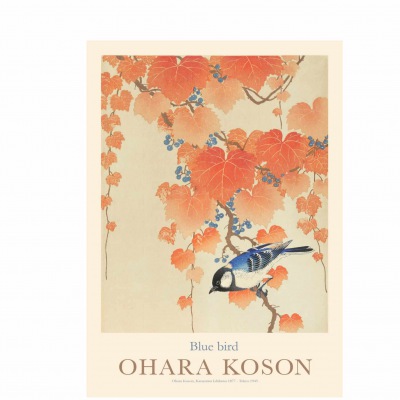 OHARA KOSON PLAKAT Blue Bird 50 x 70 cm