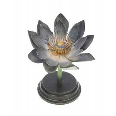 Flora Botanica No4